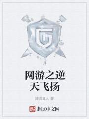 网游之逆天飞扬