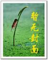 光荣使命1937