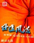 仕途feng-liu