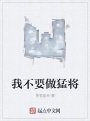 风流小神医叶凡