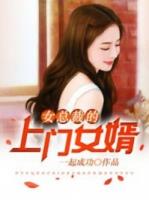 王婿叶凡小说
